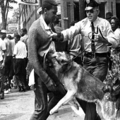 Aspectos destacados de la lucha de los afroamericanos por sus derechos Aspectos destacados de la lucha de los afroamericanos por sus derechos