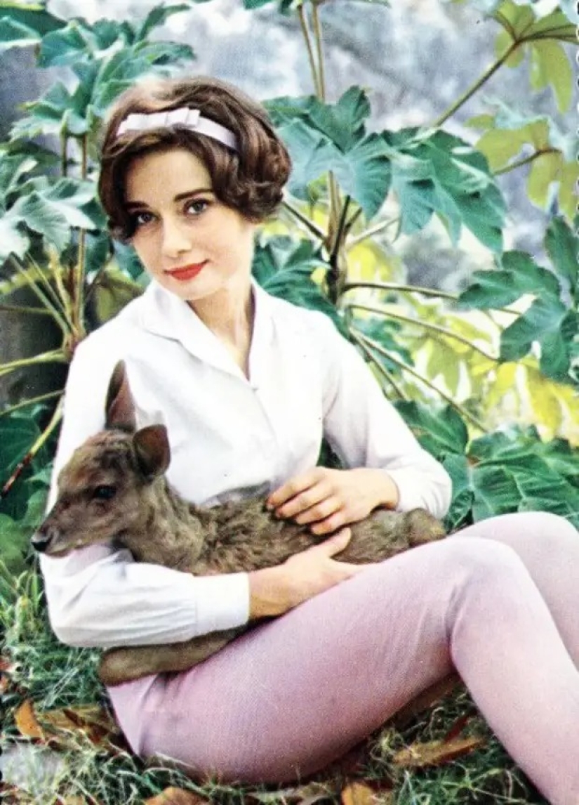 Audrey Hepburn y su cervatillo llamado Pippin