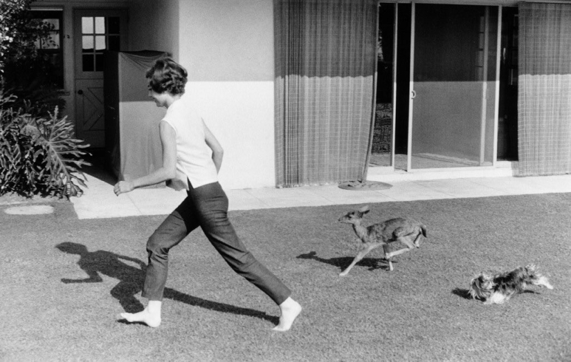 Audrey Hepburn y su cervatillo llamado Pippin