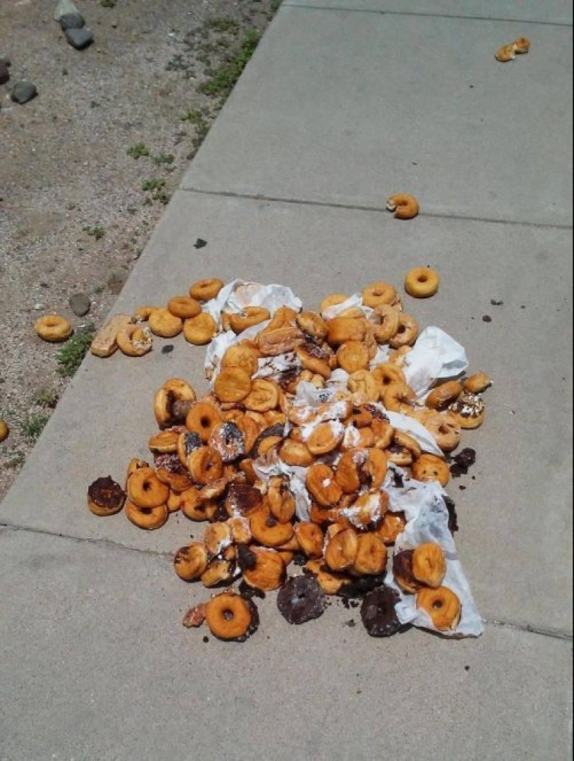 Bad day: photos of life's tragedies that can trap each