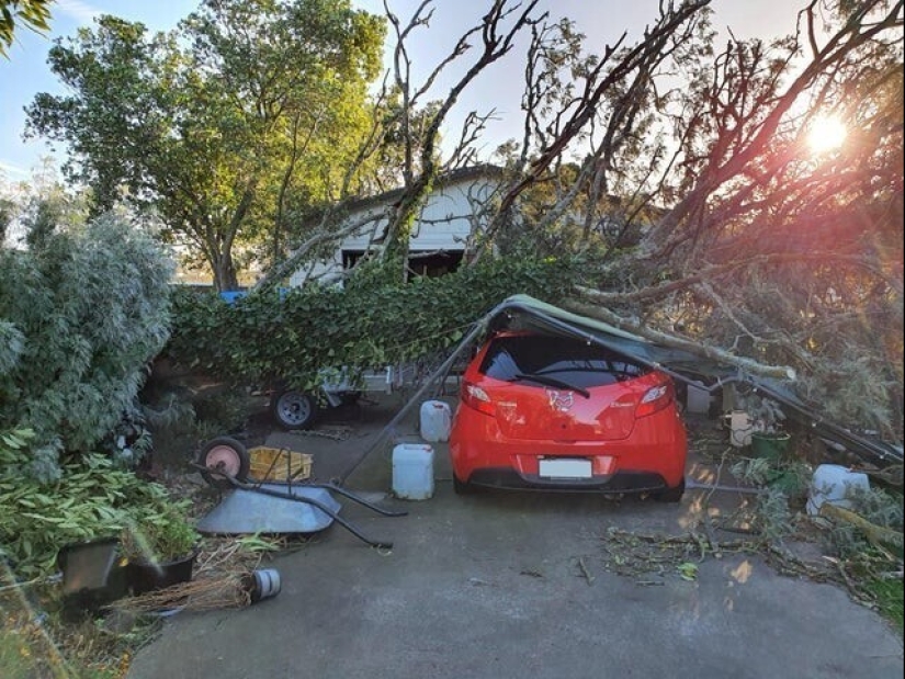 Bad luck, so bad luck: 30 domestic disasters, when everything is shattered Bad luck, so bad luck: 30 domestic disasters, when everything is shattered