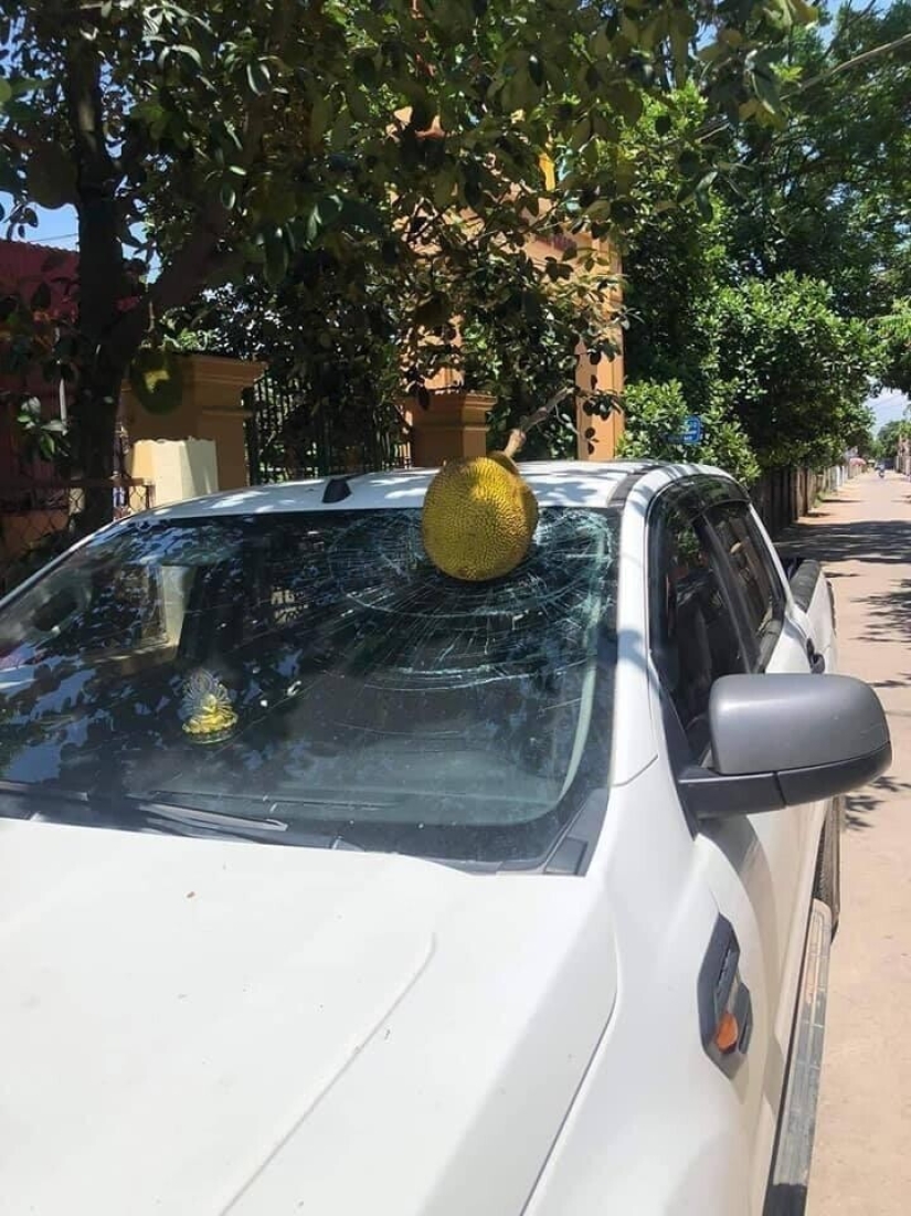 Bad luck, so bad luck: 30 domestic disasters, when everything is shattered Bad luck, so bad luck: 30 domestic disasters, when everything is shattered