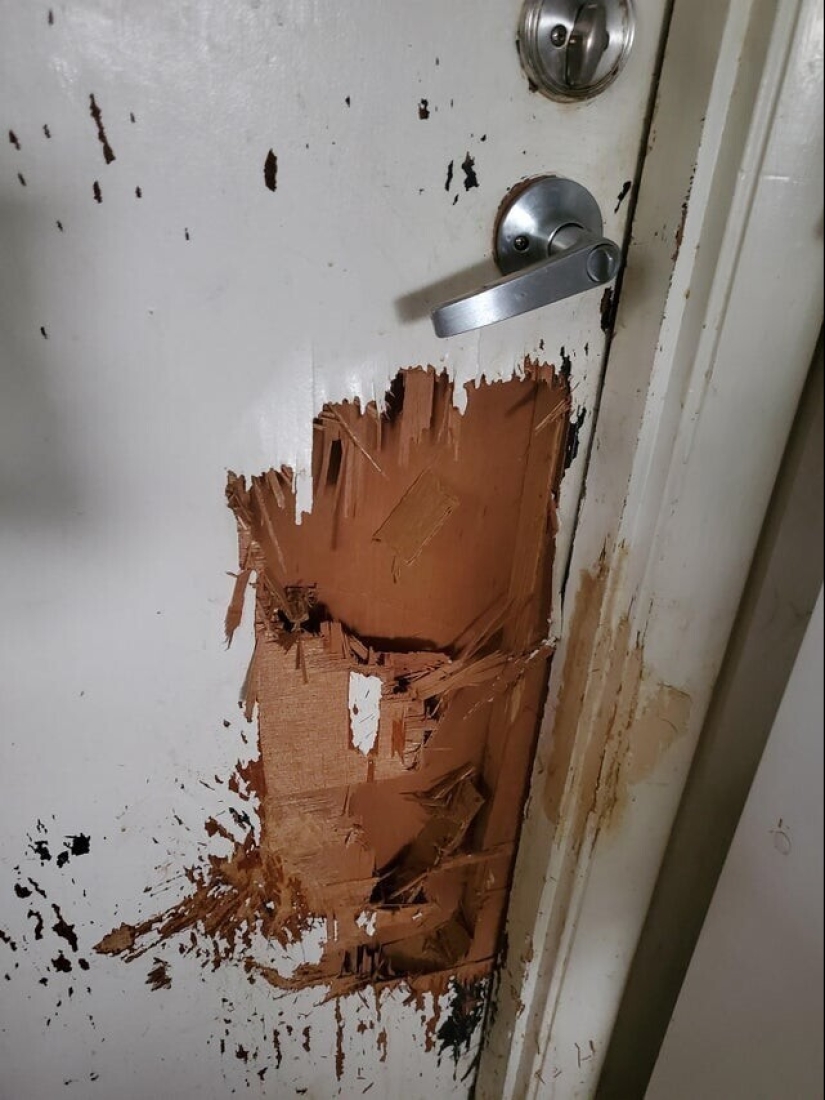 Bad luck, so bad luck: 30 domestic disasters, when everything is shattered Bad luck, so bad luck: 30 domestic disasters, when everything is shattered