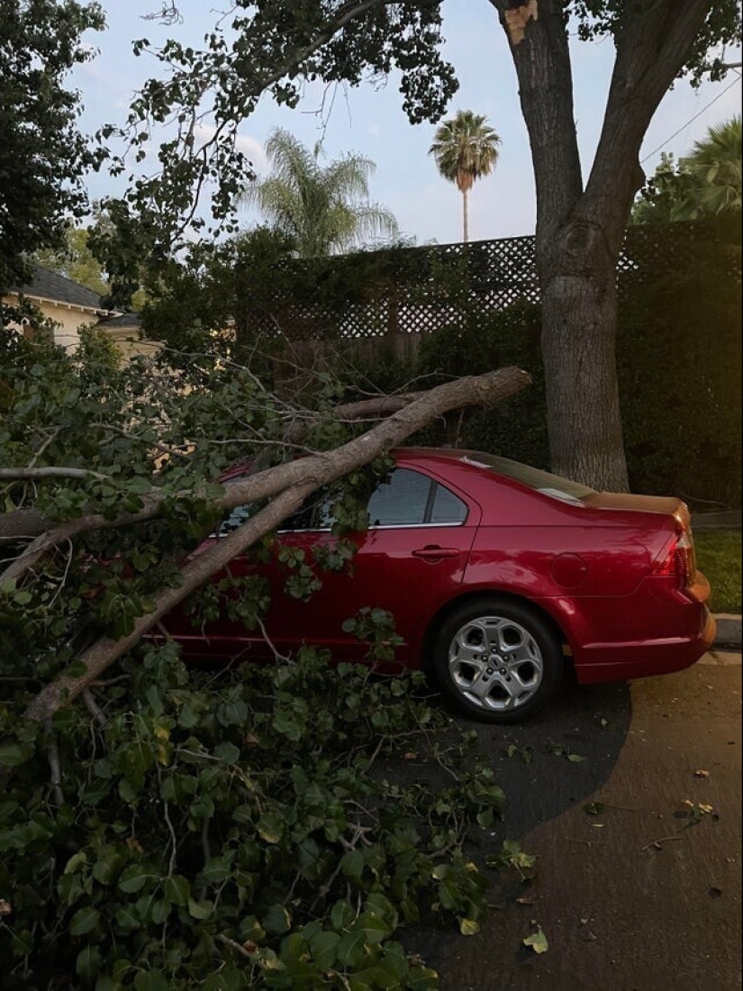 Bad luck, so bad luck: 30 domestic disasters, when everything is shattered Bad luck, so bad luck: 30 domestic disasters, when everything is shattered