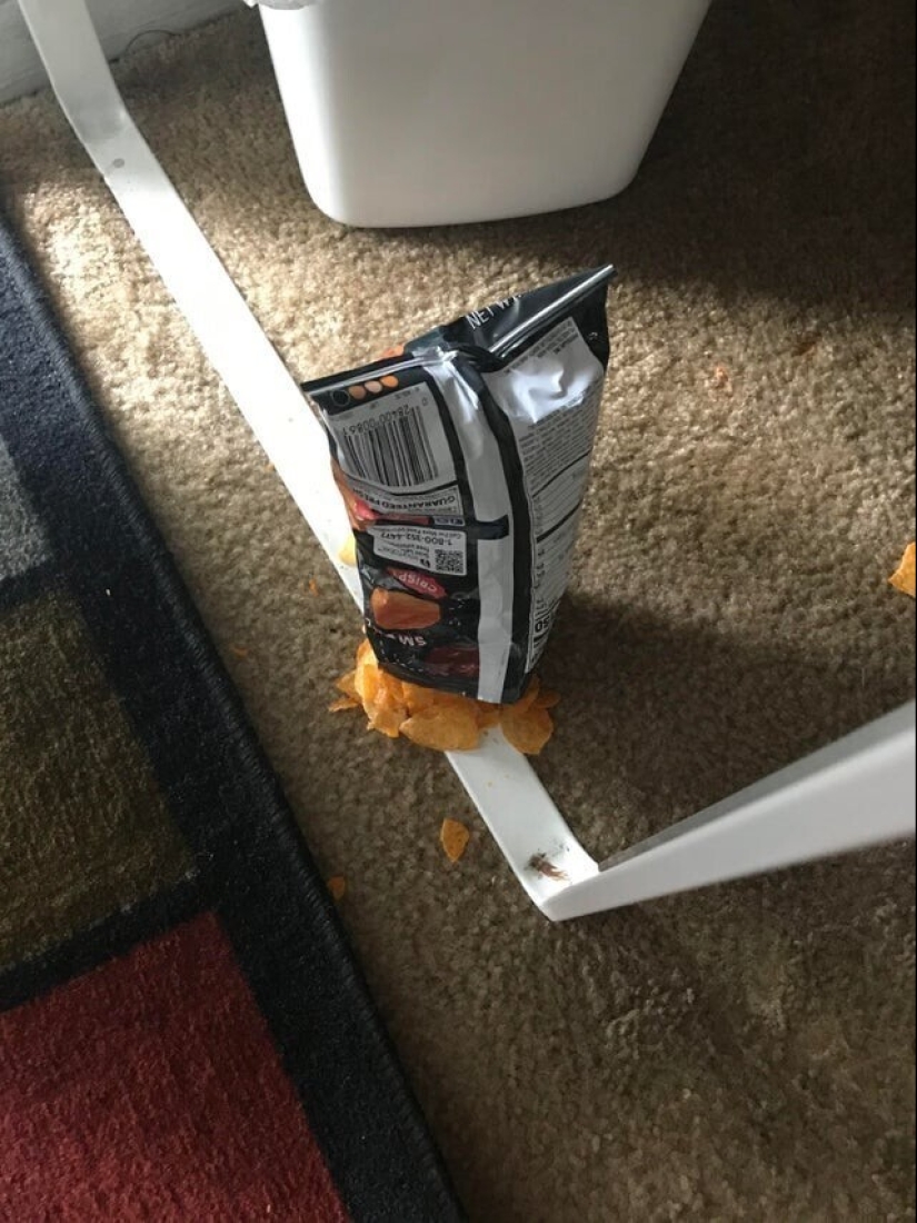 Bad luck, so bad luck: 30 domestic disasters, when everything is shattered Bad luck, so bad luck: 30 domestic disasters, when everything is shattered
