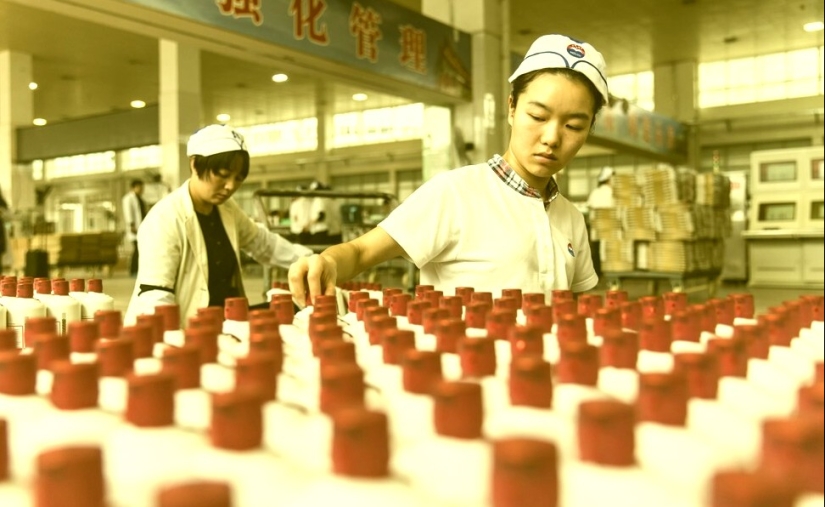 Baijiu es la bebida alcohólica más popular del mundo Baijiu es la bebida alcohólica más popular del mundo