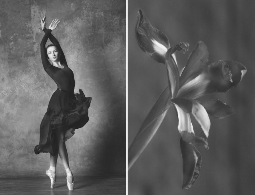 Bailarina y flores: una serie de fotos sobre la similitud de las dos de gracia Bailarina y flores: una serie de fotos sobre la similitud de las dos de gracia