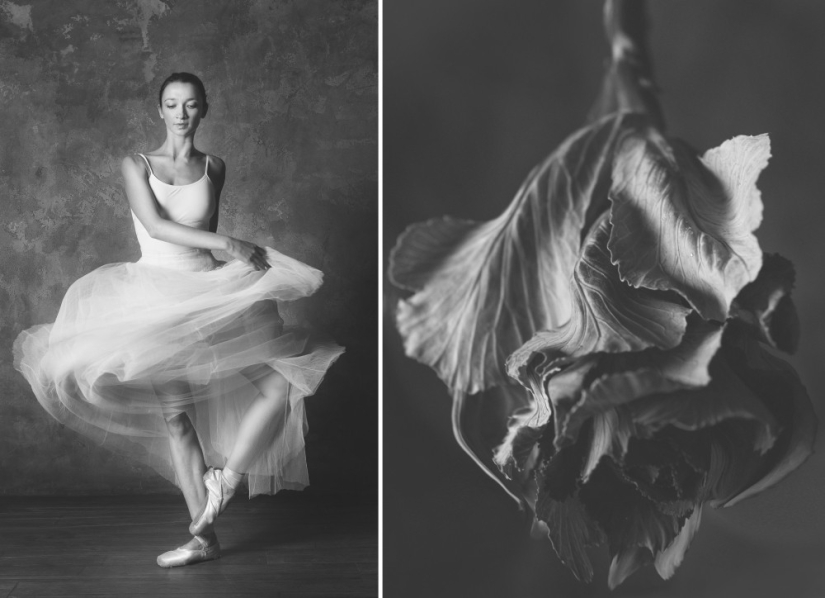 Ballerina and flowers: a photo series about the similarity of the two grace Ballerina and flowers: a photo series about the similarity of the two grace