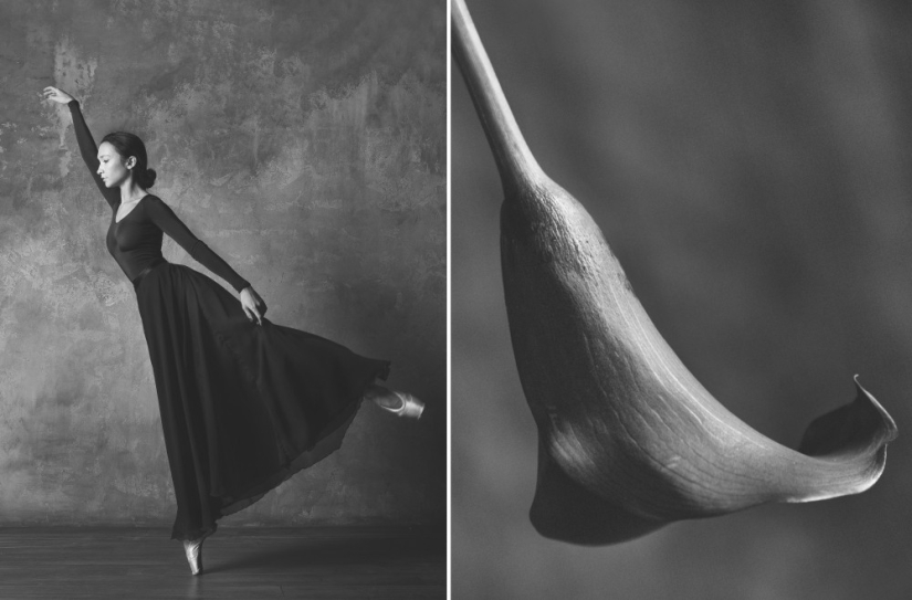 Ballerina and flowers: a photo series about the similarity of the two grace Ballerina and flowers: a photo series about the similarity of the two grace