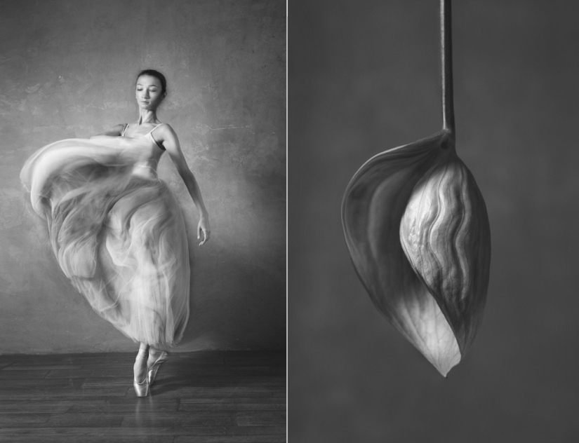 Ballerina and flowers: a photo series about the similarity of the two grace Ballerina and flowers: a photo series about the similarity of the two grace
