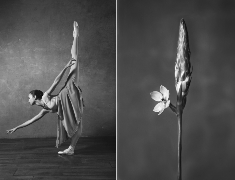 Ballerina and flowers: a photo series about the similarity of the two grace Ballerina and flowers: a photo series about the similarity of the two grace