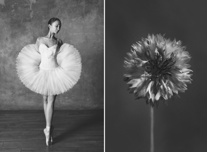 Ballerina and flowers: a photo series about the similarity of the two grace Ballerina and flowers: a photo series about the similarity of the two grace
