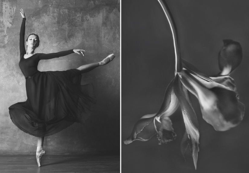 Ballerina and flowers: a photo series about the similarity of the two grace Ballerina and flowers: a photo series about the similarity of the two grace