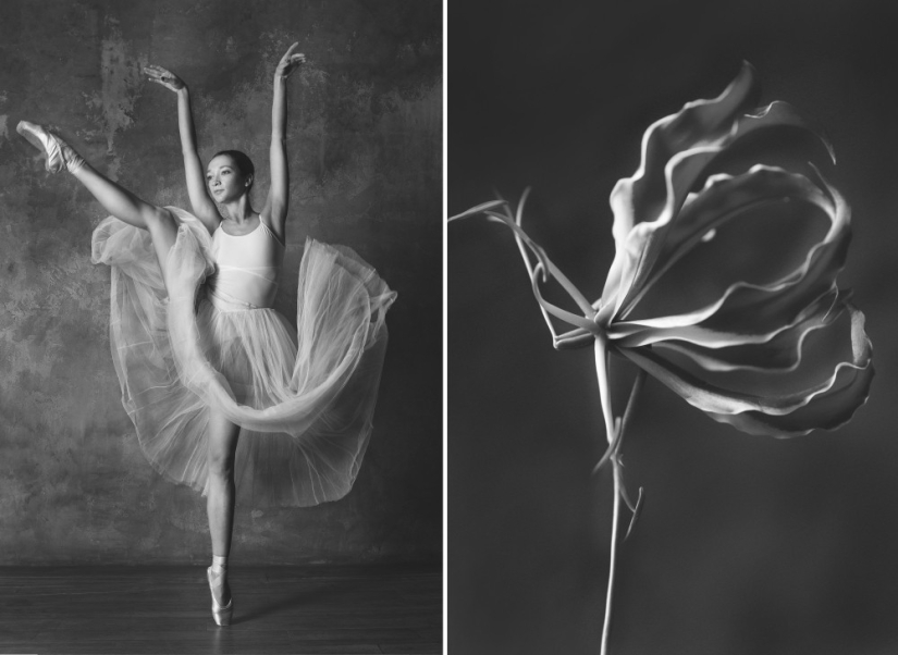 Ballerina and flowers: a photo series about the similarity of the two grace Ballerina and flowers: a photo series about the similarity of the two grace