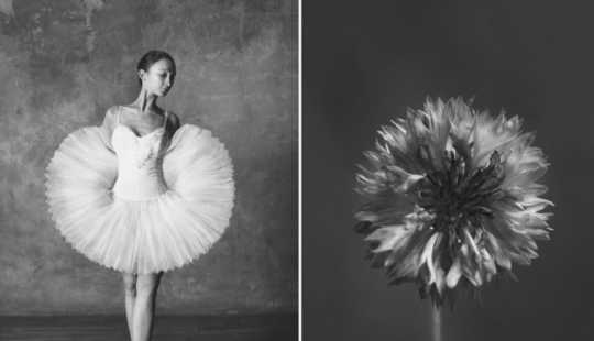 Ballerina and flowers: a photo series about the similarity of the two grace