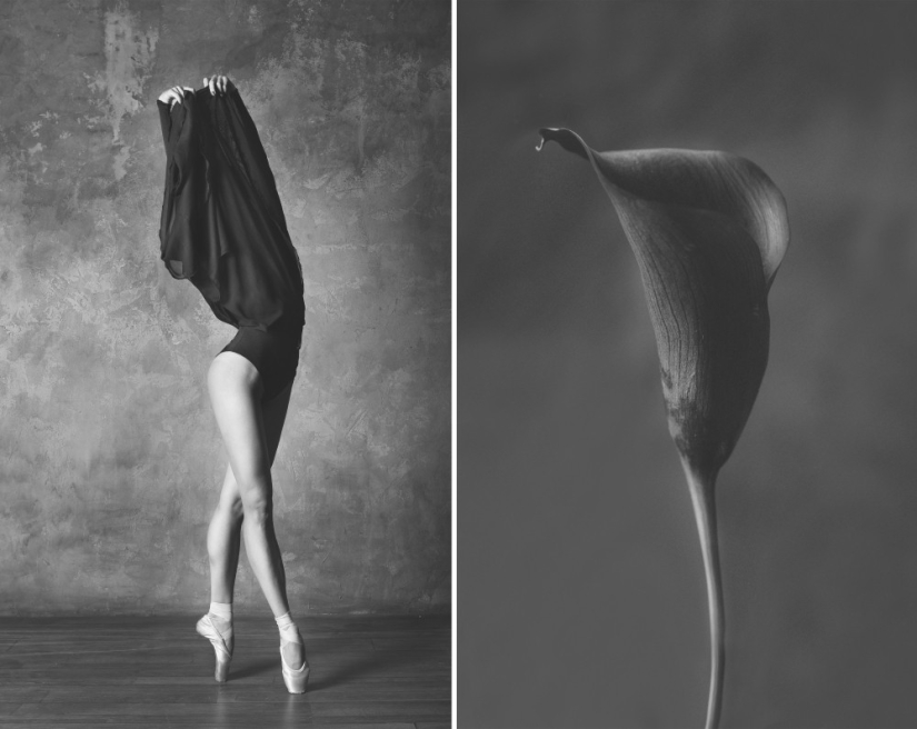 Ballerina and flowers: a photo series about the similarity of the two grace Ballerina and flowers: a photo series about the similarity of the two grace