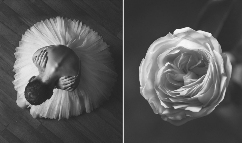 Ballerina and flowers: a photo series about the similarity of the two grace Ballerina and flowers: a photo series about the similarity of the two grace