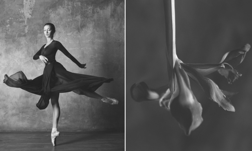 Ballerina and flowers: a photo series about the similarity of the two grace Ballerina and flowers: a photo series about the similarity of the two grace