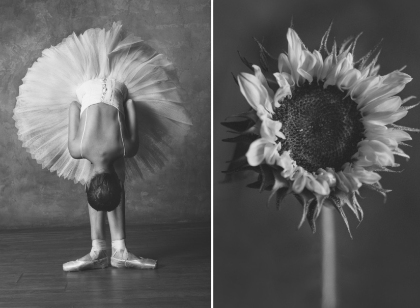 Ballerina and flowers: a photo series about the similarity of the two grace Ballerina and flowers: a photo series about the similarity of the two grace
