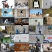 Banksy is the most mysterious and scandalous graffiti artist Banksy is the most mysterious and scandalous graffiti artist