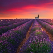 "Be patient with photos": a professional photographer reveals the secret of perfect shots "Be patient with photos": a professional photographer reveals the secret of perfect shots