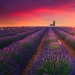 "Be patient with photos": a professional photographer reveals the secret of perfect shots "Be patient with photos": a professional photographer reveals the secret of perfect shots