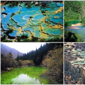 Beauty Huanlun Beauty Huanlun
