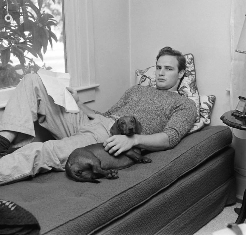 Behind every great man is a great dog