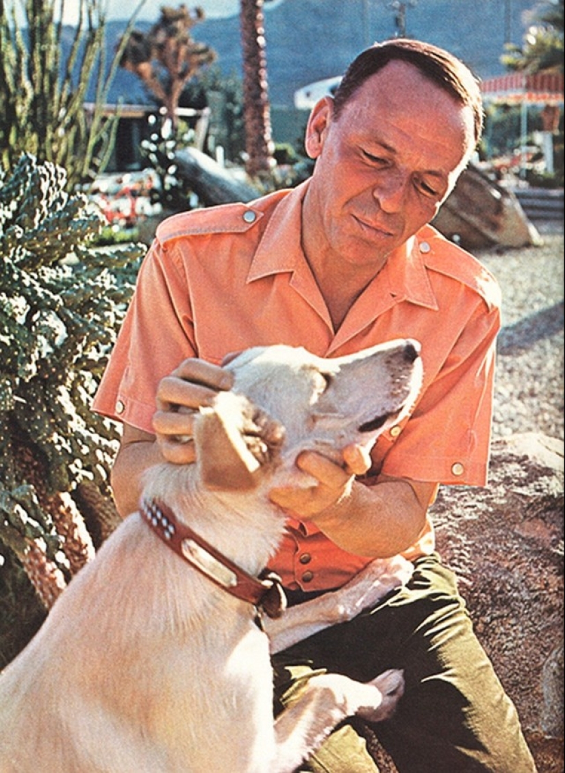 Behind every great man is a great dog