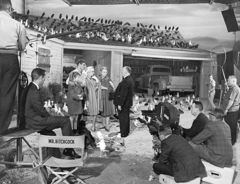 Behind the scenes of famous thrillers and horror films