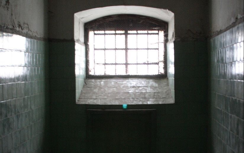 Bella Borodkin-execute, can not be pardoned