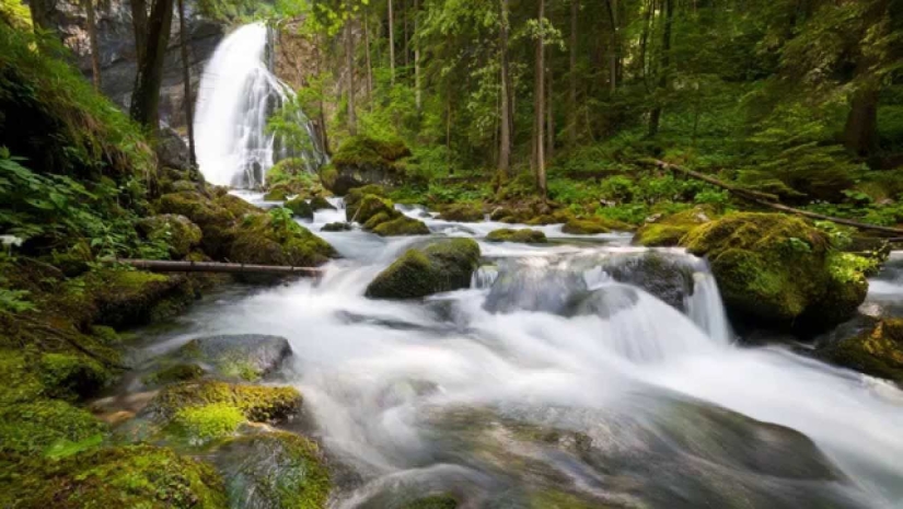 Best music for work according to scientists: sounds of nature, violin and LJ