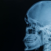 Better than any textbook: 20+ images about human anatomy that will surprise you Better than any textbook: 20+ images about human anatomy that will surprise you