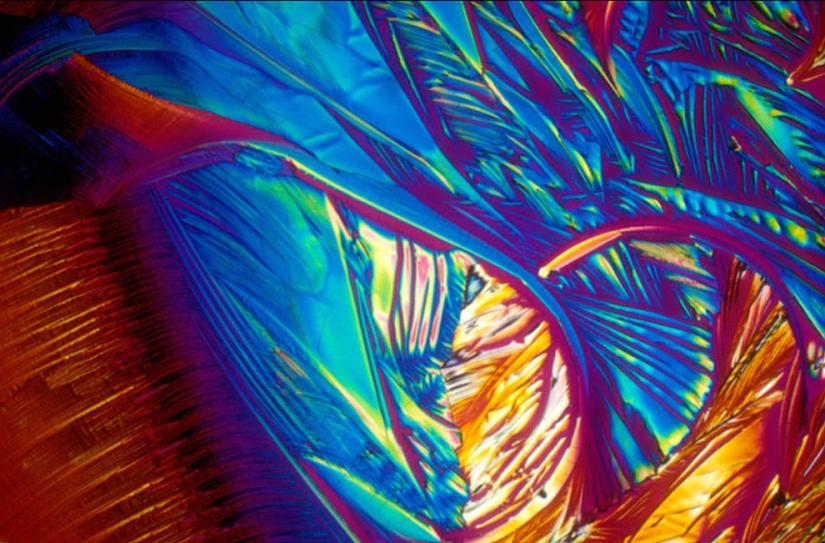 BevShots: Abstraction in a glass BevShots: Abstraction in a glass