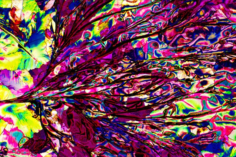 BevShots: Abstraction in a glass BevShots: Abstraction in a glass