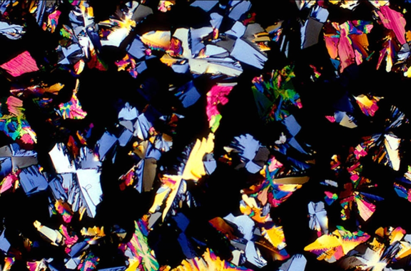 BevShots: Abstraction in a glass BevShots: Abstraction in a glass