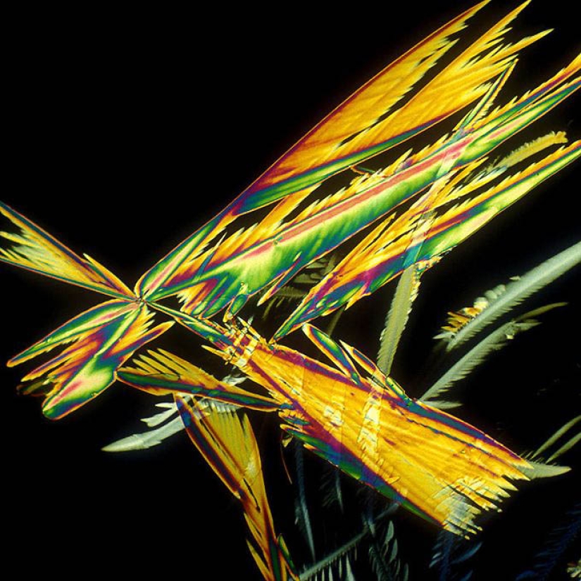 BevShots: Abstraction in a glass BevShots: Abstraction in a glass