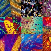 BevShots: Abstraction in a glass BevShots: Abstraction in a glass