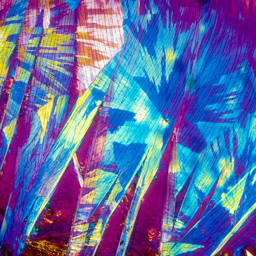 BevShots: Abstraction in a glass BevShots: Abstraction in a glass