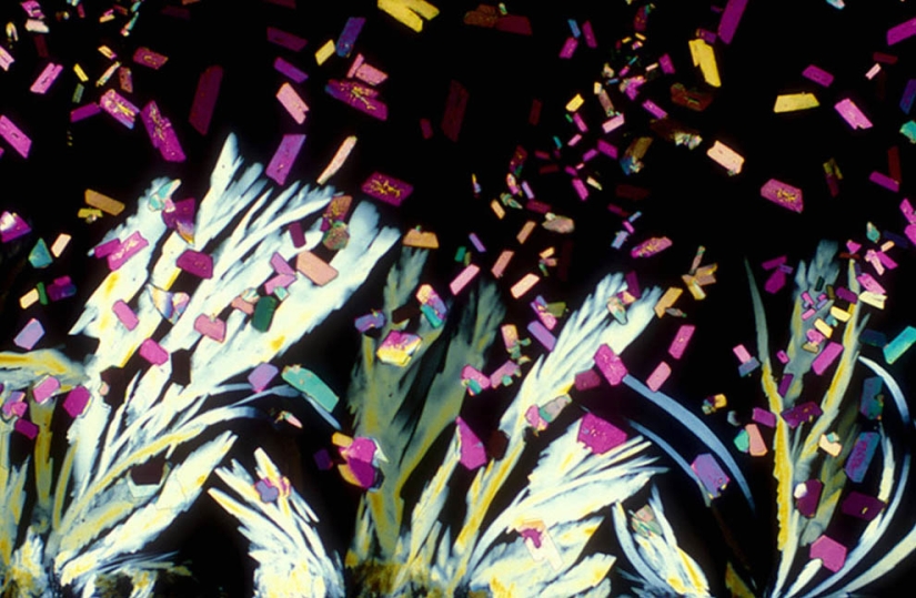 BevShots: Abstraction in a glass BevShots: Abstraction in a glass