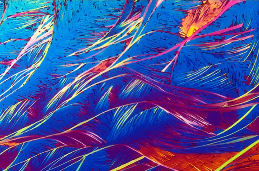 BevShots: Abstraction in a glass BevShots: Abstraction in a glass