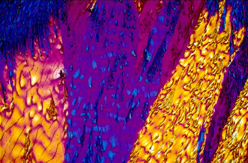 BevShots: Abstraction in a glass BevShots: Abstraction in a glass