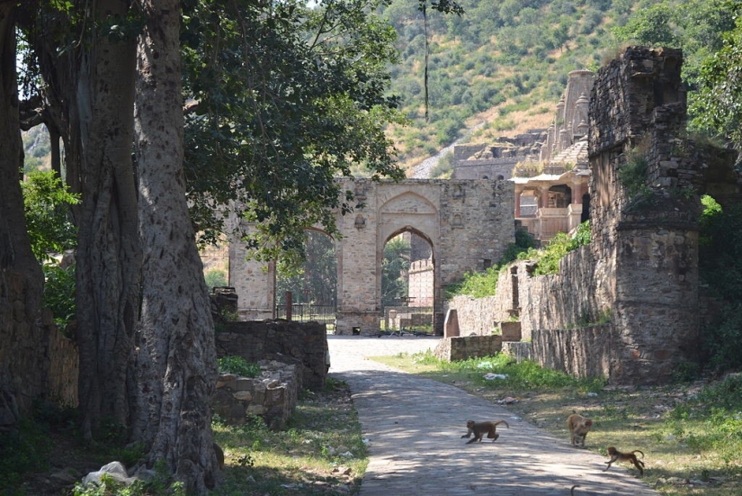 Bhangarh es una ciudad fantasma maldita en la India a la que no se puede ir de noche.