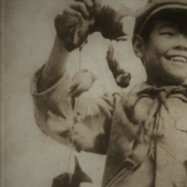 Bird Genocide: How Nature Took Revenge on the Chinese for the Extermination of Sparrows Bird Genocide: How Nature Took Revenge on the Chinese for the Extermination of Sparrows