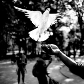 Black and white street photography by eminent masters of street photography of Alan Schaller Black and white street photography by eminent masters of street photography of Alan Schaller