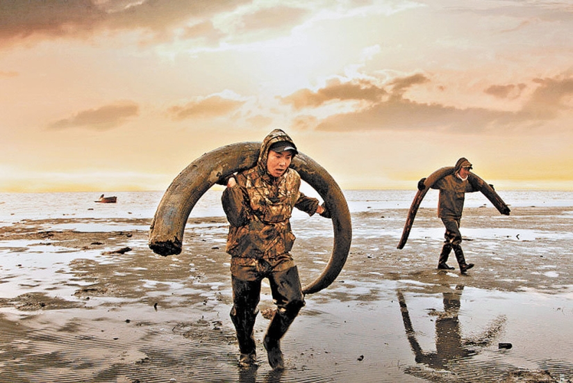 Blond Sirte: the vanished people of the shamans who lived in the Northern Arctic