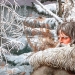 Blond Sirte: the vanished people of the shamans who lived in the Northern Arctic Blond Sirte: the vanished people of the shamans who lived in the Northern Arctic