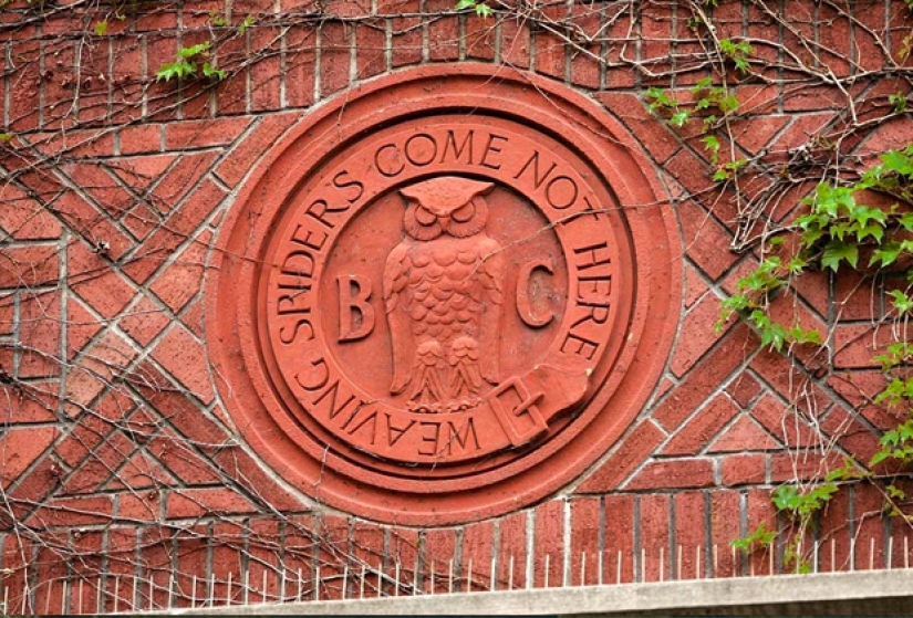 Bohemian Grove: ¿Gobierno oculto del mundo o «campamento infantil» para la élite?