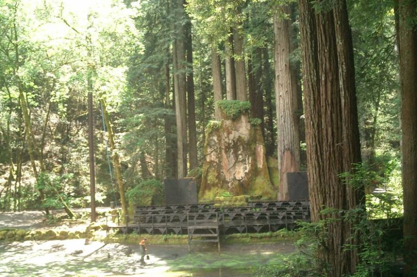 Bohemian Grove: ¿Gobierno oculto del mundo o «campamento infantil» para la élite?