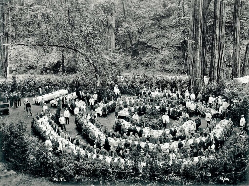 Bohemian Grove: ¿Gobierno oculto del mundo o «campamento infantil» para la élite?